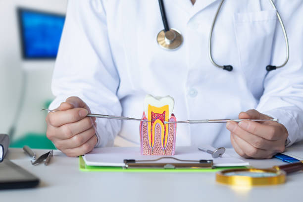 Best Pediatric Emergency Dentist in Iona, ID